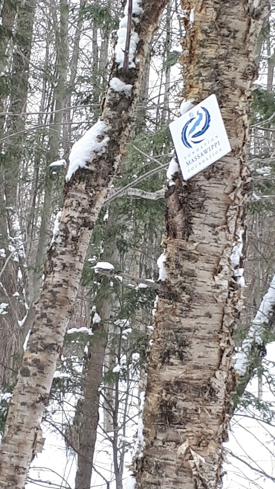 Sentier Massawippi Trail | 85-81 Côte du Piémont, Sainte-Catherine-de-Hatley, QC J0B, Canada