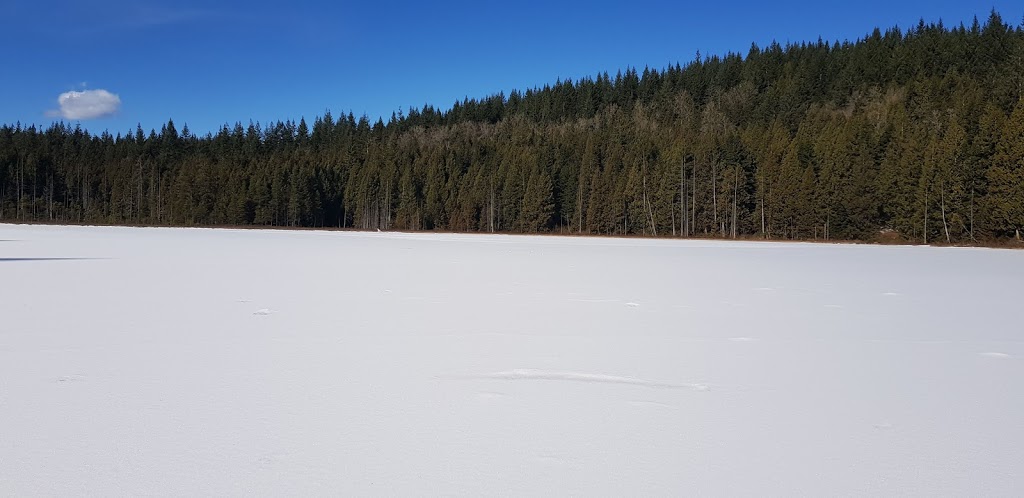 Alouette Mountain Trailhead | Mike Lake Rd, Maple Ridge, BC V0M, Canada