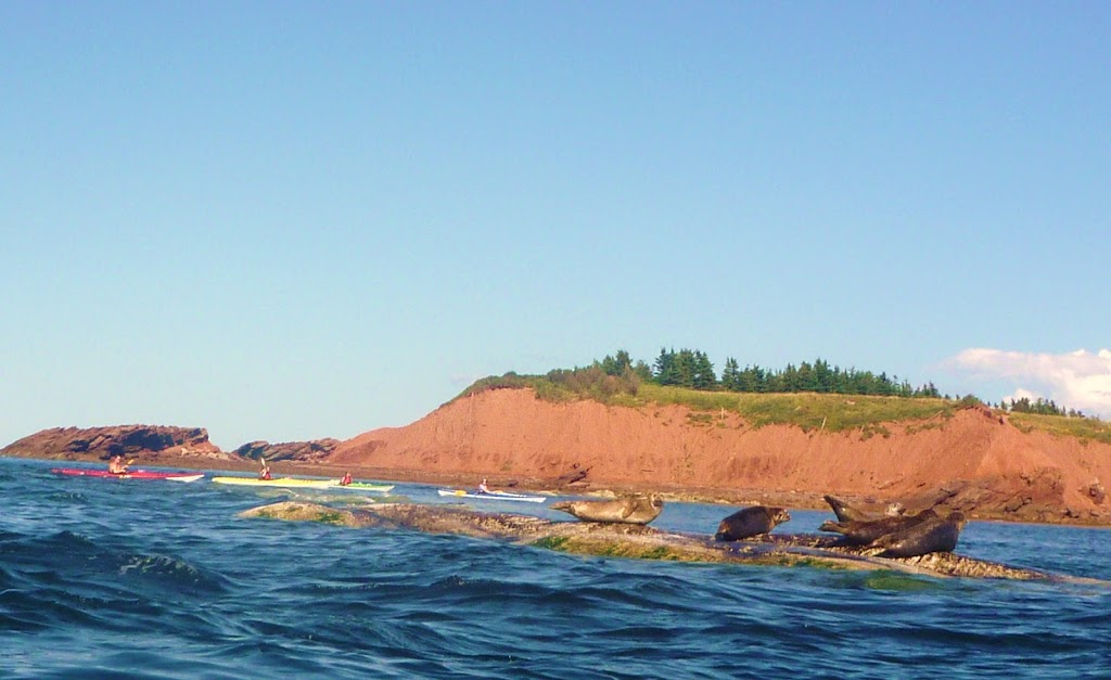 Coastal Spirit Expeditions | Cape John harbour, River John, NS B0K 1N0, Canada | Phone: (902) 351-2283