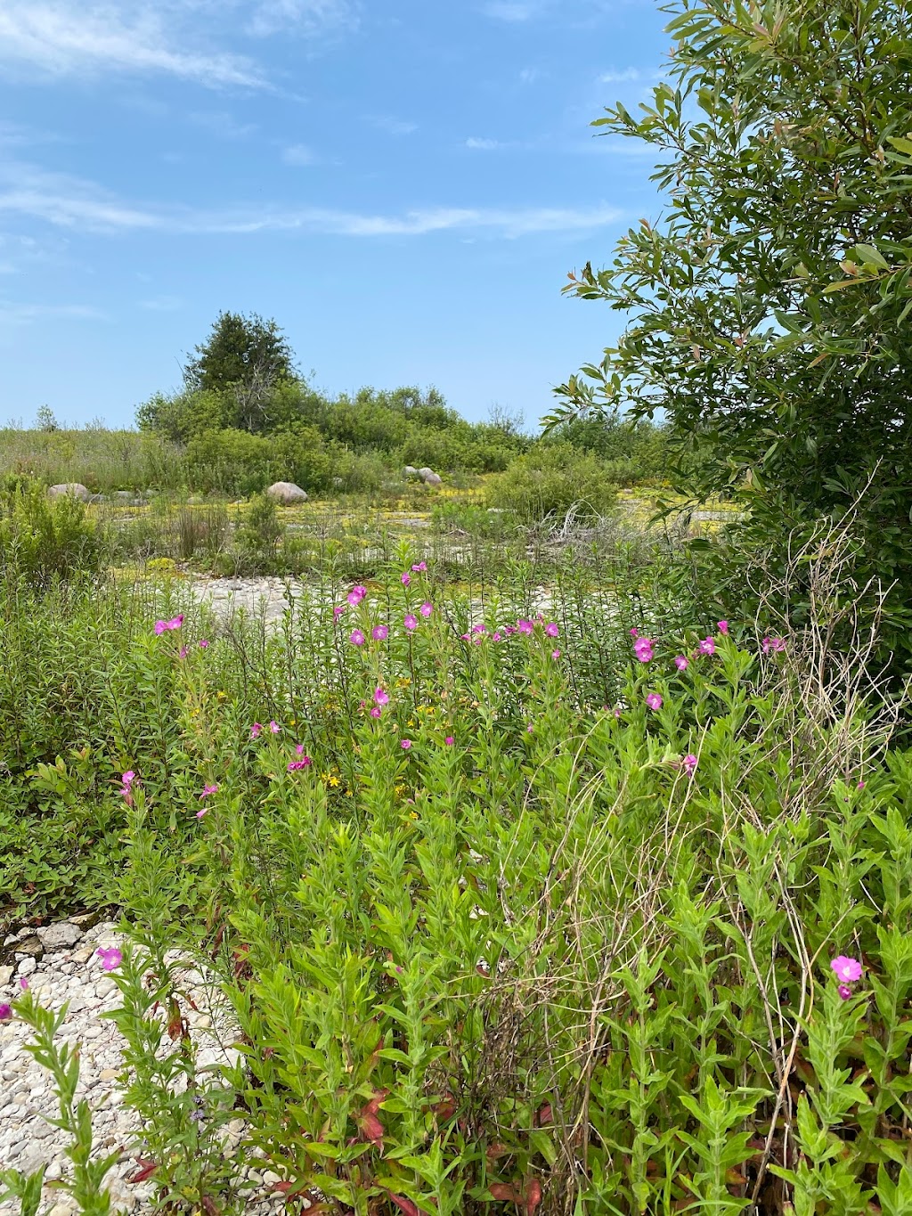 Limestone Islands Provincial Park | Carling, ON, Canada | Phone: (705) 342-5492