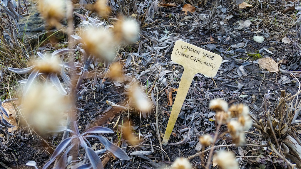 Urquhart Butterfly Garden | Waterdown, ON L0R 2H9, Canada