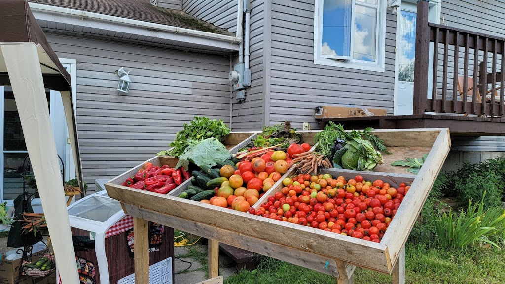 Ferme Mépat | 1809 1e Rang, Val-Alain, QC G0S 3H0, Canada | Phone: (418) 744-3724