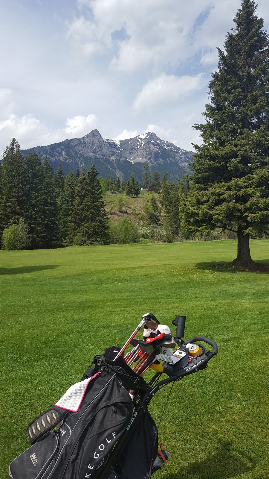 Mountain Meadows Golf Club | BC-43, Elkford, BC V0B 1H0, Canada | Phone: (250) 865-7413