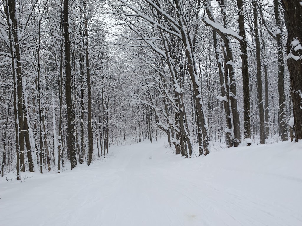 Hardwood Ski and Bike | 402 Old Barrie Rd W, Oro Station, ON L0L 2E0, Canada | Phone: (705) 487-3775