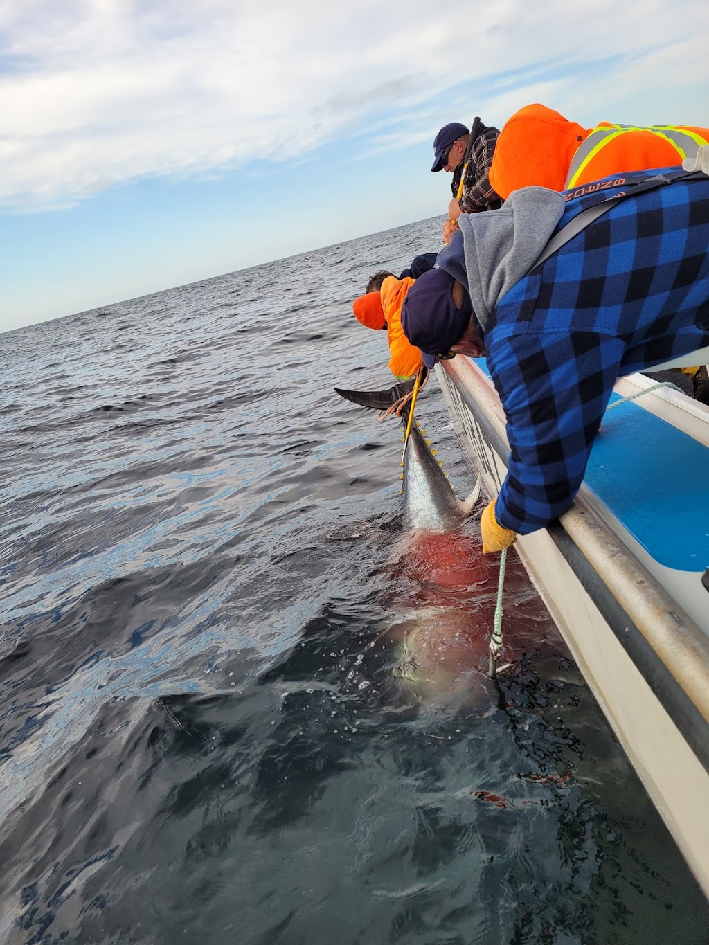 Giant Bluefin Tuna Charters | 90 Ballantynes Cove Wharf Road, Antigonish, NS B2G 2L2, Canada | Phone: (902) 872-0906