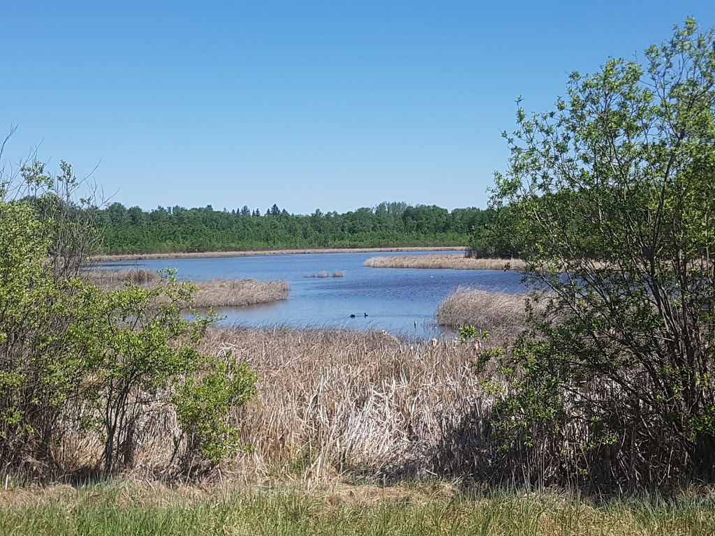 Clifford E. Lee Nature Sanctuary | Spruce Grove, AB T7Y, Canada