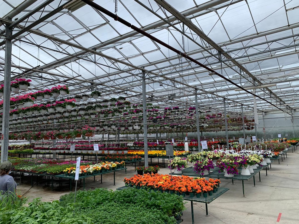 Green Mountain Gardens | 398 Upper Centennial Pkwy, Stoney Creek, ON L8J 2V6, Canada | Phone: (905) 664-8091