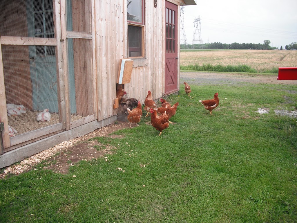 Les Jardinets de la Paysanne | 100 Rang des Chênes, Saint-Samuel, QC G0Z 1G0, Canada | Phone: (819) 358-0345