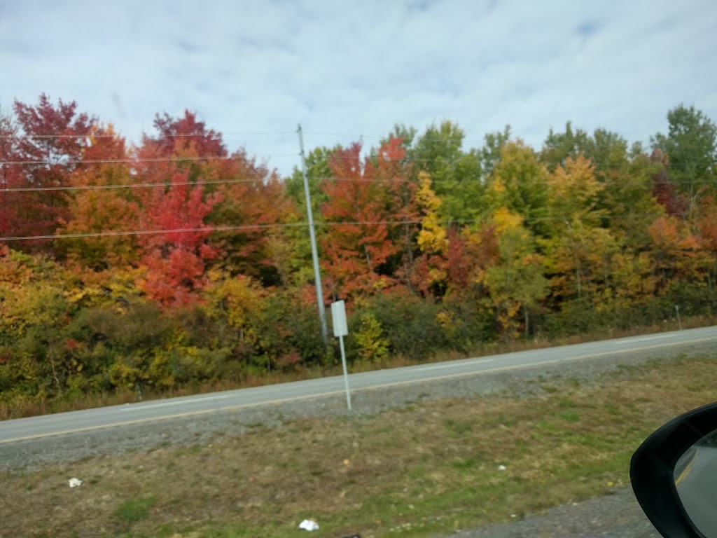 Gloucester Allotment Garden | 1988 Kelden Crescent, Gloucester, ON K1B 4Y7, Canada