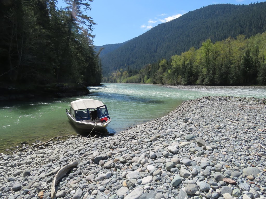 BC Fly Fishing Charters | 25771 124 Ave, Maple Ridge, BC V4R 1B8, Canada | Phone: (778) 242-3474