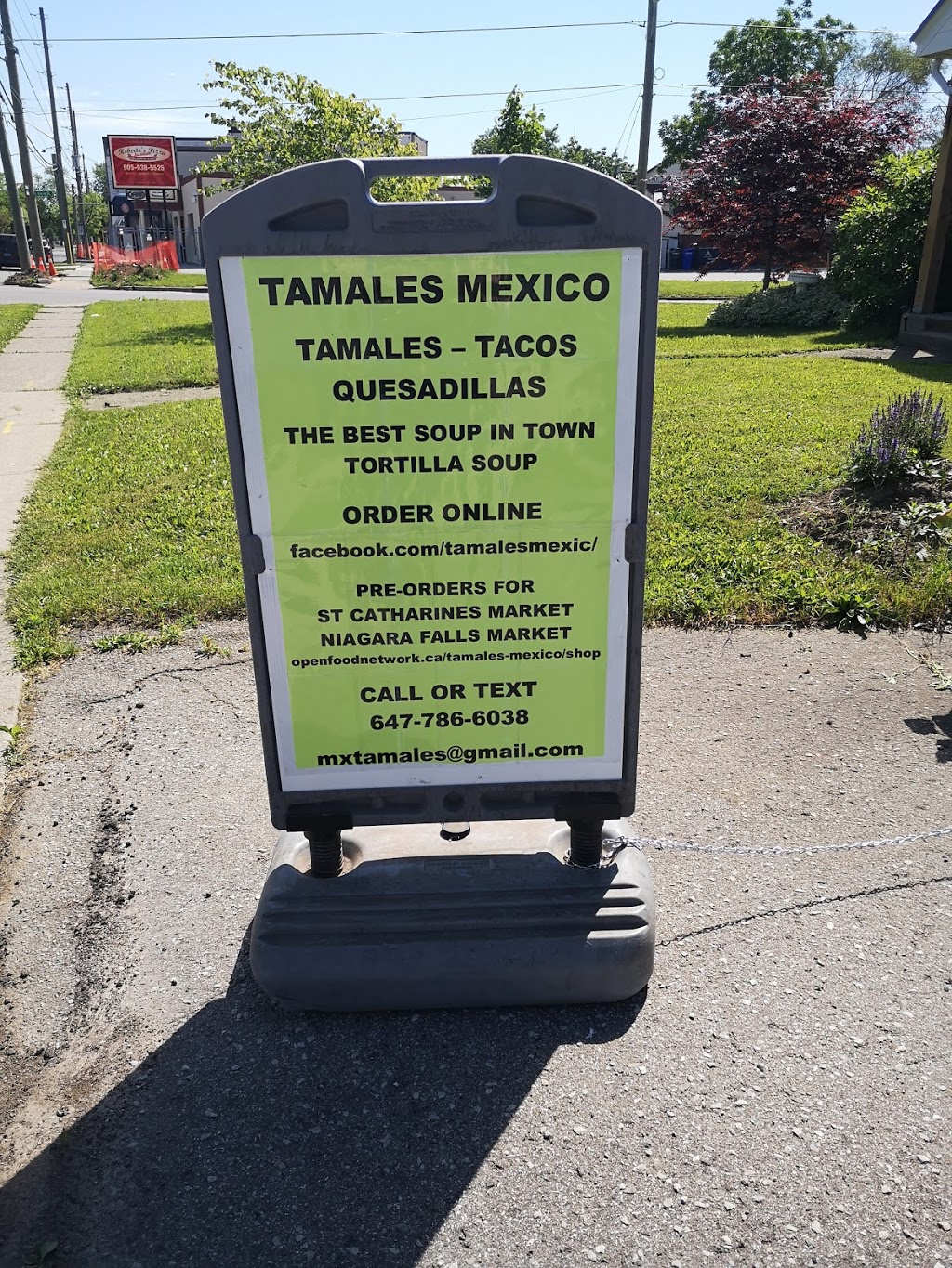 Tamales Mexico | 16 Facer St, St. Catharines, ON L2M 5H2, Canada | Phone: (647) 786-6038