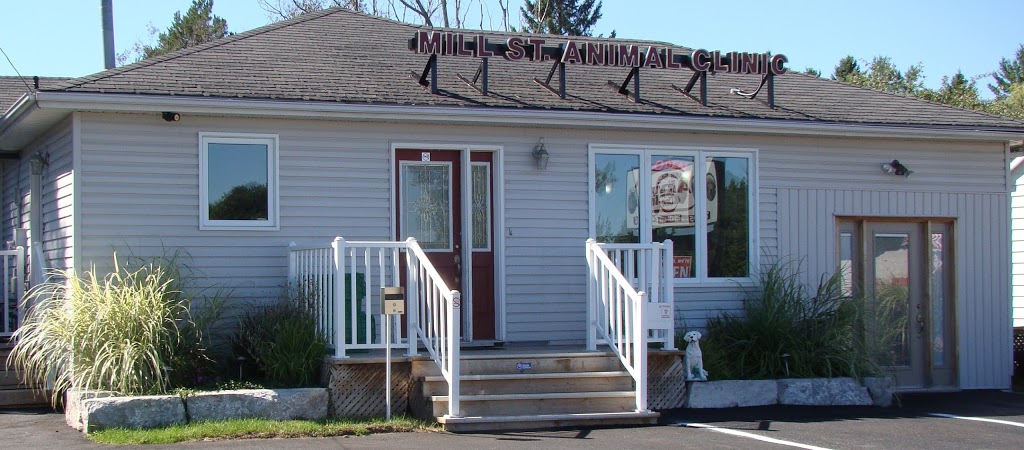 Mill St Animal Clinic | 159 Mill St, Angus, ON L0M 1B2, Canada | Phone: (705) 424-4884