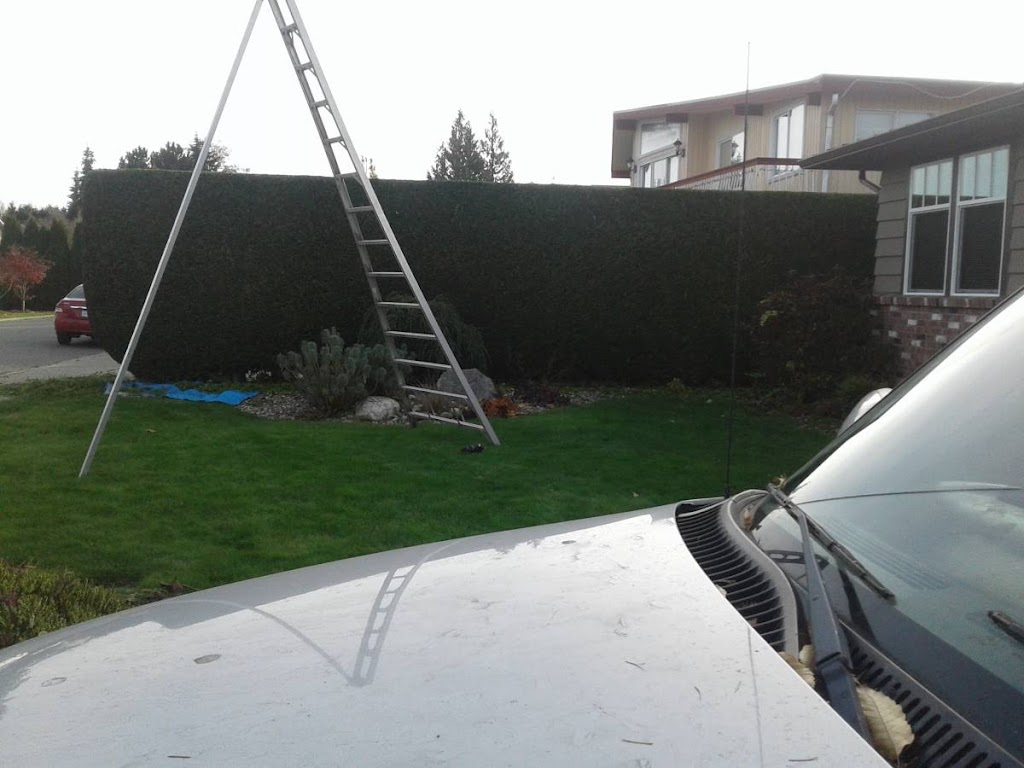 Hedge PRO Trimming Vancouver | 8619 Cartier St#301, Vancouver, BC V6P 4T9, Canada | Phone: (604) 417-4211