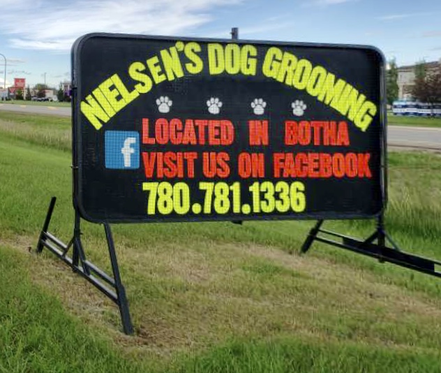 Nielsens Dog Grooming | 17 Groves Ave, Botha, AB T0C 0N0, Canada | Phone: (780) 781-1336