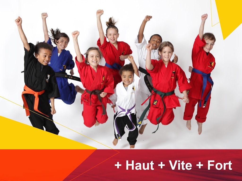 Karate Sports Vaudreuil | 17 Boulevard de la Cité-des-Jeunes #110, Vaudreuil-Dorion, QC J7V 0N3, Canada | Phone: (514) 892-2515