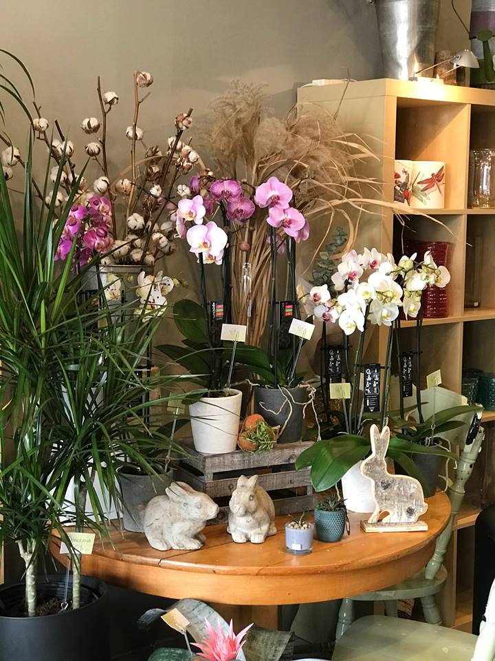 Fleurs2 | 2153 Boulevard des Laurentides, Laval, QC H7M 4M2, Canada | Phone: (450) 575-7317