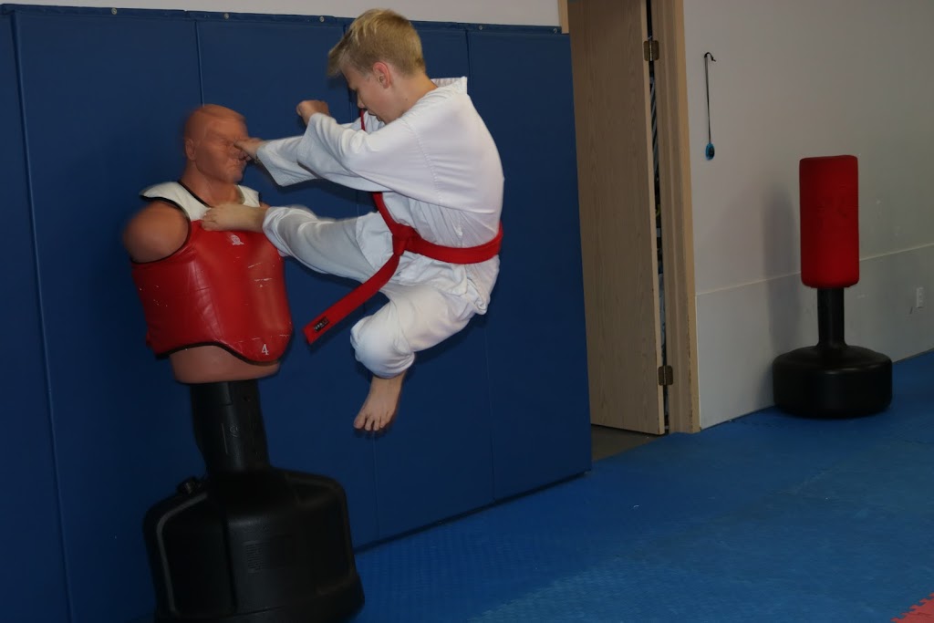 Penticton Champion Taekwondo | 132 Industrial Ct #104, Penticton, BC V2A 7N9, Canada | Phone: (250) 493-8765