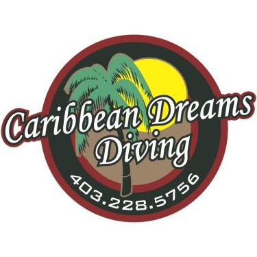 Caribbean Dreams | 602b 16 Ave NW, Calgary, AB T2M 0J7, Canada | Phone: (403) 228-5756