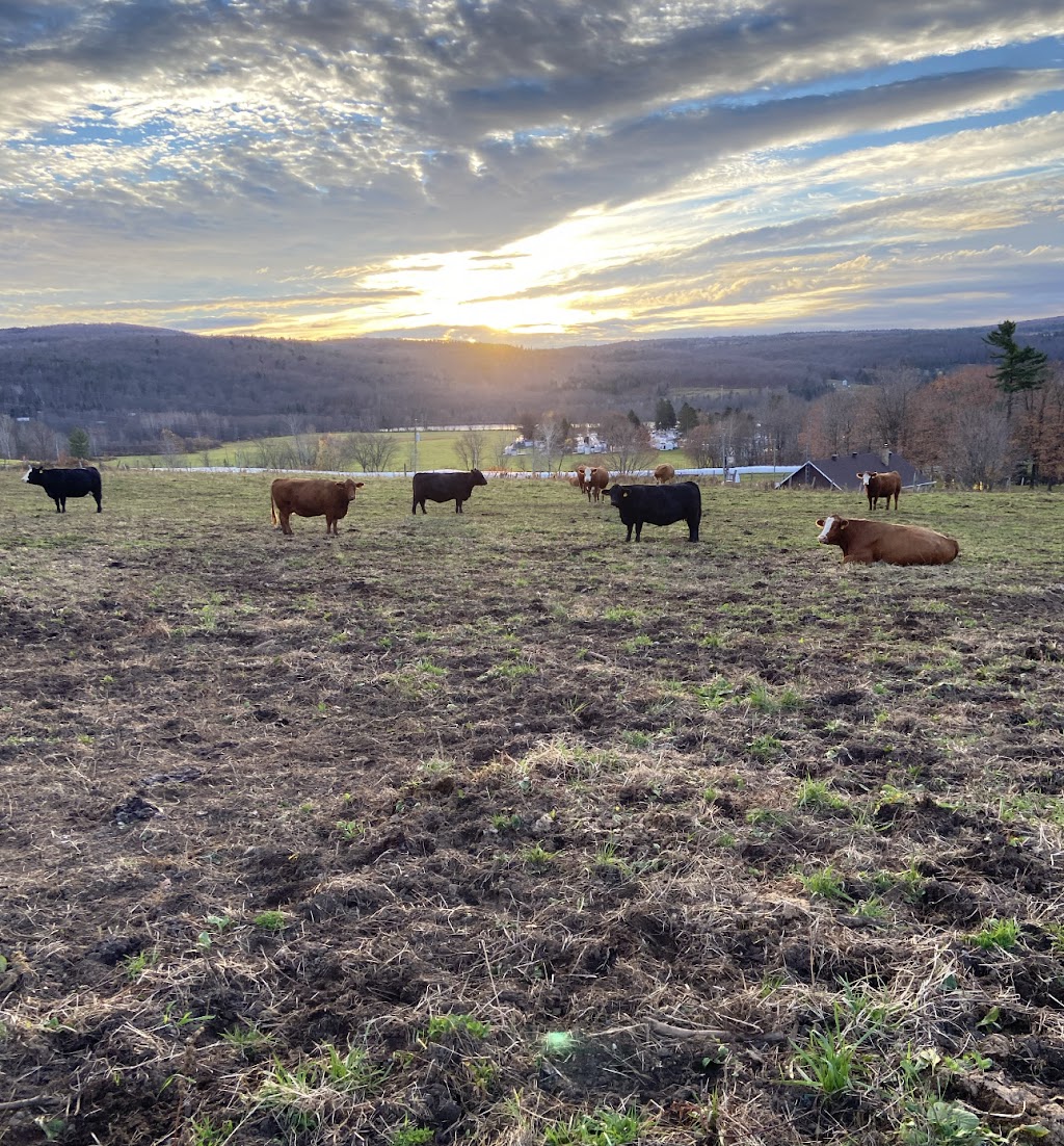 FERME ROGER FORTIER ET FILS | 827 Chem. Gosford, Saint-Pierre-Baptiste, QC G0P 1K0, Canada | Phone: (418) 332-0466