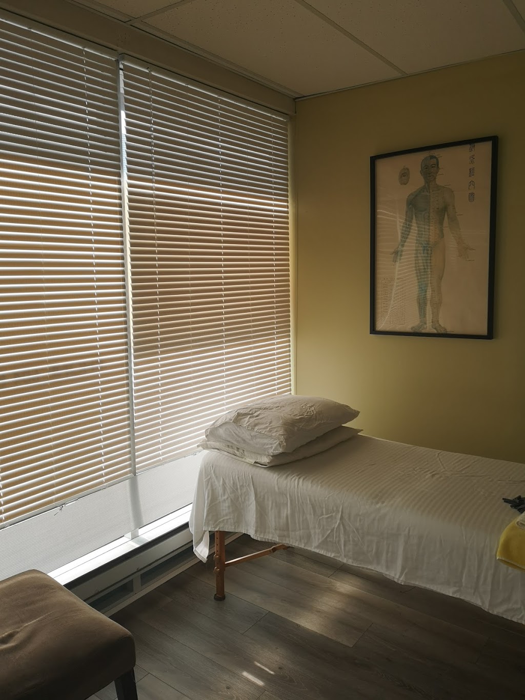 Jane Acupuncture Clinic | 20270 Industrial Ave #102b, Langley City, BC V3A 4K7, Canada | Phone: (604) 808-5263