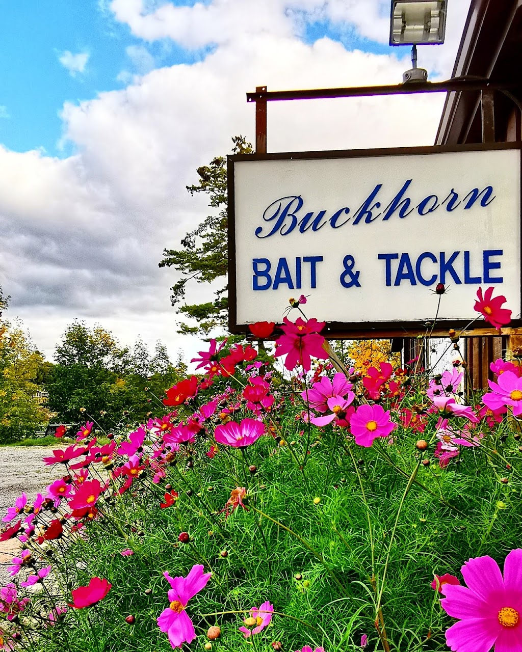 Buckhorn General Store | 1908 Lakehurst Rd, Buckhorn, ON K0L 1J0, Canada | Phone: (705) 657-3202