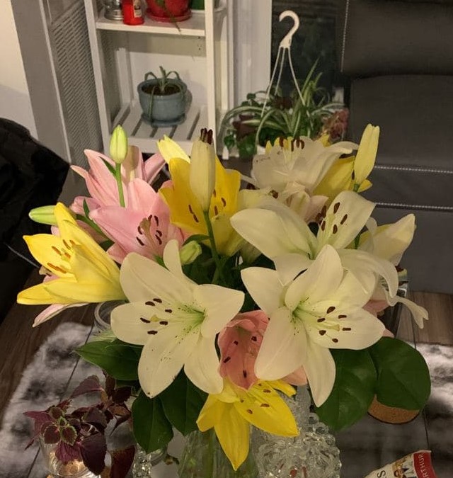 Bloomen Flower Delivery - Brampton | 16 Rutherford Rd S #203, Brampton, ON L6W 3J1, Canada | Phone: (289) 720-2003