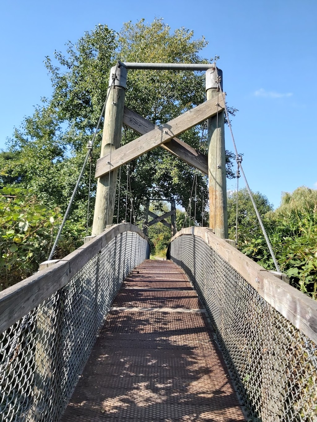 Nicomekl River Suspension Bridge | Langley, BC V3A 9H1, Canada | Phone: (604) 514-2912