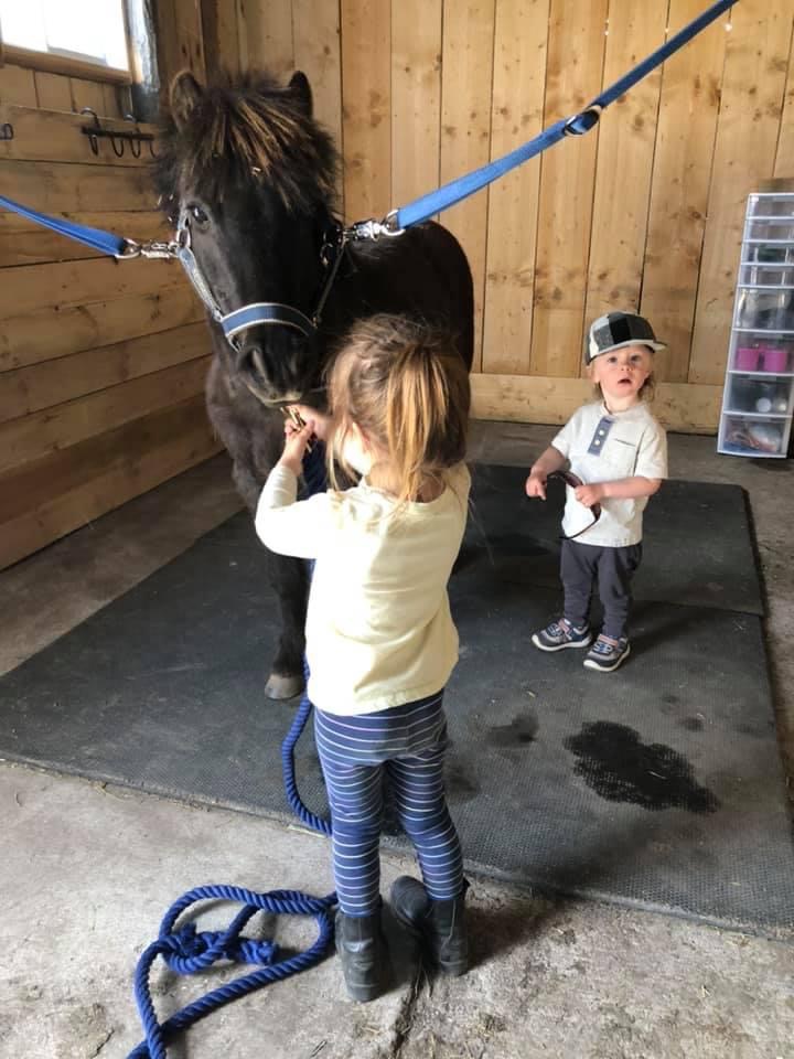 BelleVue Stables | 40 Concession Rd 15 E, Township Of Tiny, ON L9M 0N6, Canada | Phone: (705) 427-4087