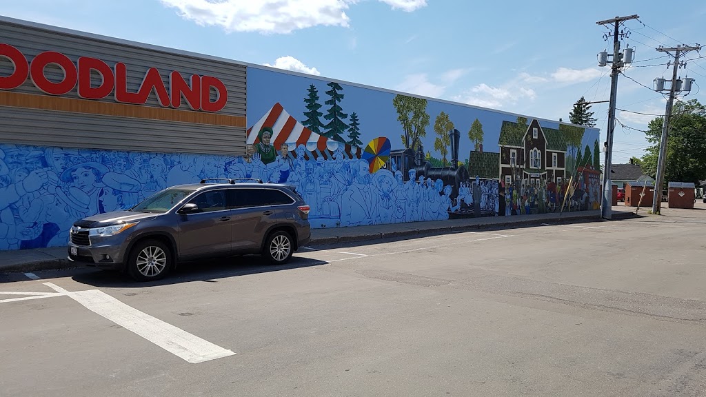 Foodland - Petitcodiac | 33 Main St, Petitcodiac, NB E4Z 4L9, Canada | Phone: (506) 756-3321