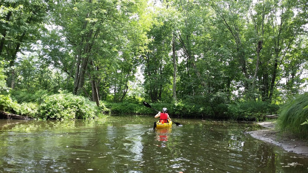 Marais de la Rivière aux Cerises | 69 Chemin Roy, Magog, QC J1X 0N4, Canada | Phone: (819) 843-8118