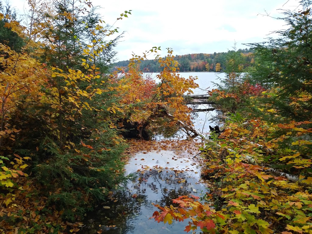 The Crack Trail Shortcut Parking Lot | Killarney, ON P0M, Canada