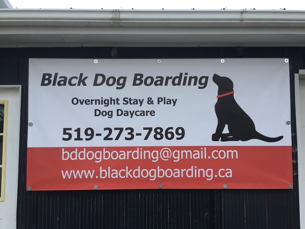 Black Dog Boarding | 2580 45 Line, Gads Hill, ON N0K 1J0, Canada | Phone: (519) 273-7869