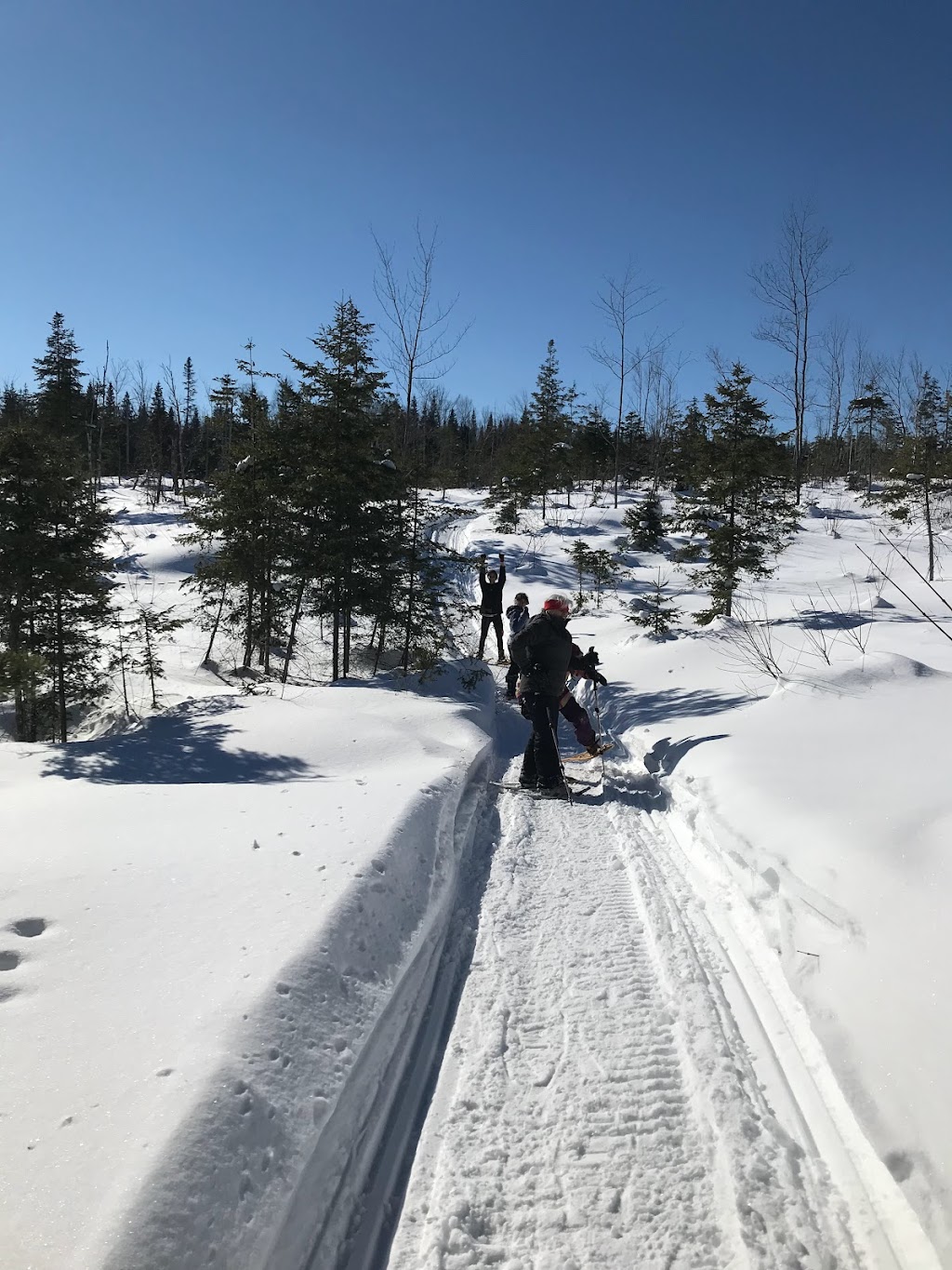 Aux Rêveries Cool | 4 Chem. du Lac-Miquet, Lamarche, QC G0W 1X0, Canada | Phone: (418) 481-1919