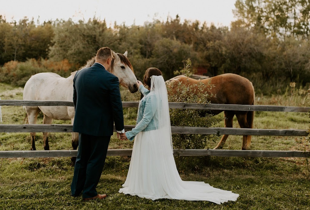 Lions Garden Barn Wedding Venue | 51115 Range Rd 200, Tofield, AB T0B 4J0, Canada | Phone: (780) 662-0414