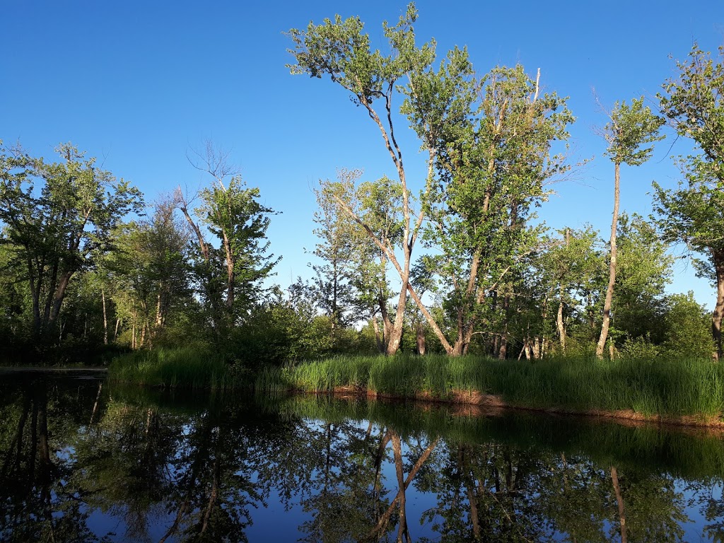 Réserve naturelle Quilliams-Durrull | Lac-Brome, QC J0E 1R0, Canada