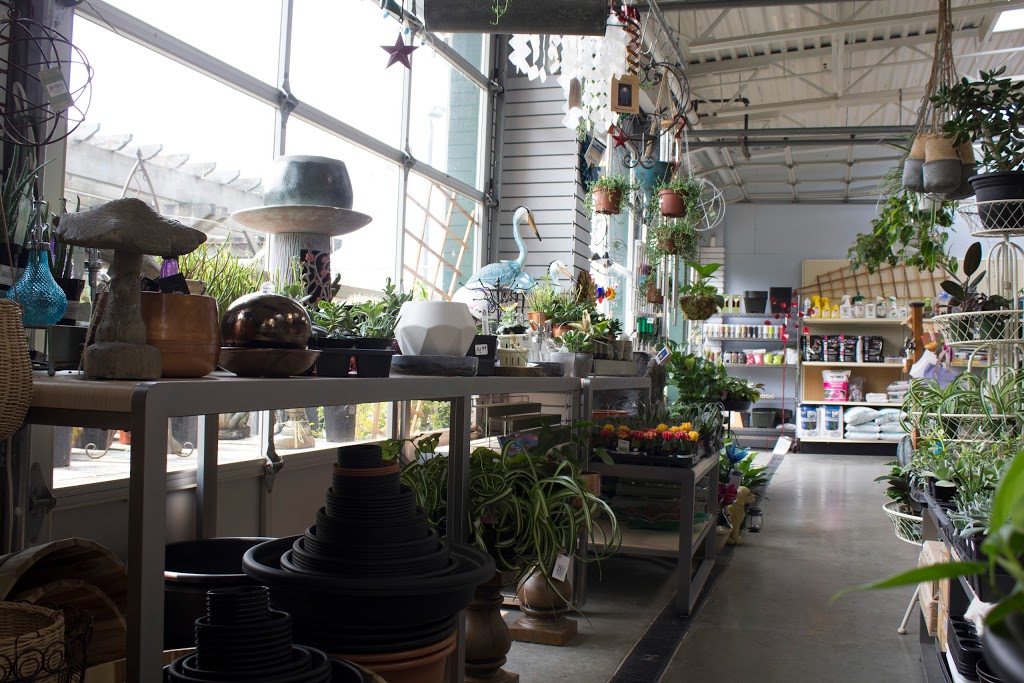 Little Tree Garden Center | 2517 Bowen Rd, Nanaimo, BC V9T 3L2, Canada | Phone: (250) 585-0244