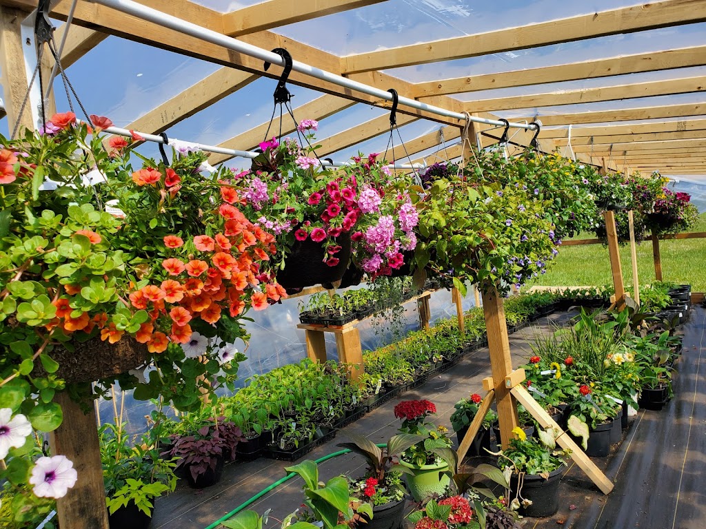 Itza Farm and Garden Centre | 905 Stockdale Rd, Trenton, ON K8V 5P6, Canada | Phone: (289) 356-4779