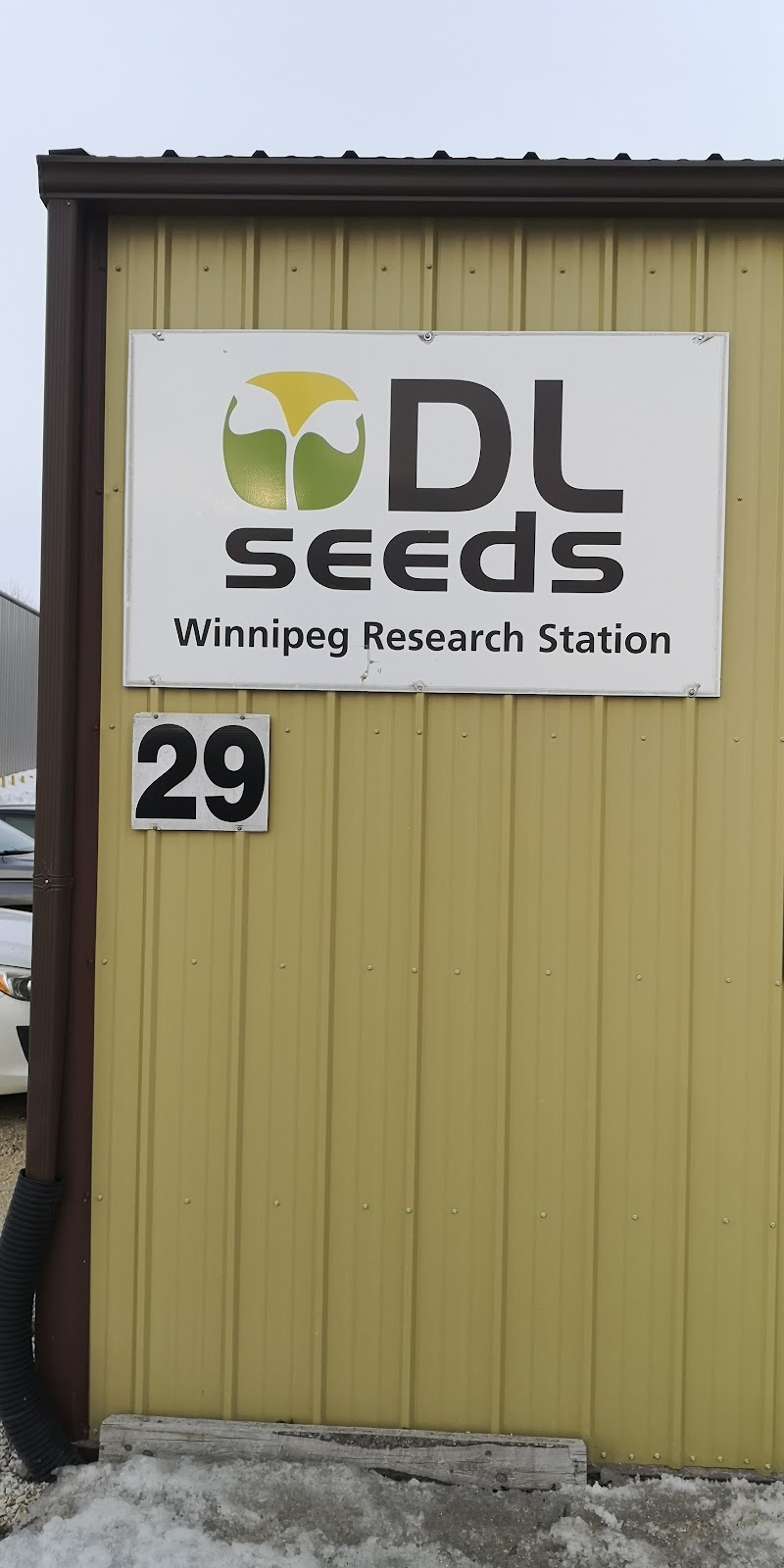 DL Seeds | Provincial Rd 330, Manitoba R0G 1N0, Canada | Phone: (204) 331-3611