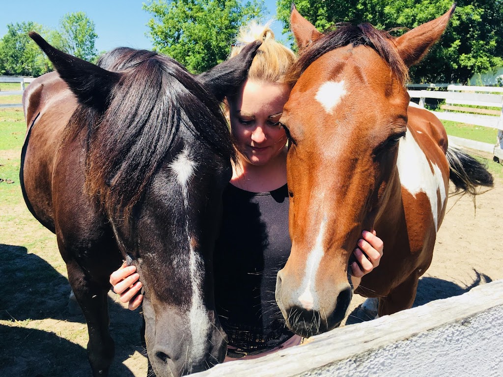 Zootherapy Danièle Monast | 111 Chem. de la Baie Quesnel, Rigaud, QC J0P 1P0, Canada | Phone: (450) 451-4210