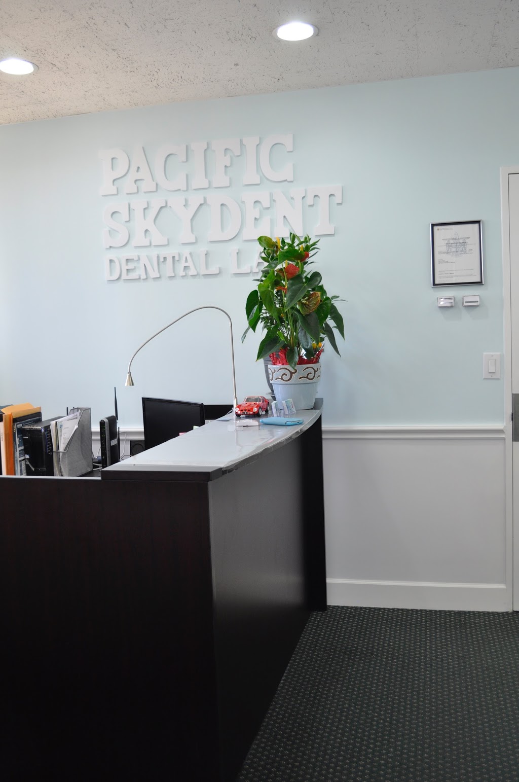 Pacific Skydent Dental Lab Ltd | 702-625 5th Ave, New Westminster, BC V3M 1X4, Canada | Phone: (604) 549-9922