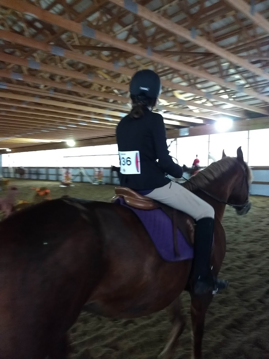 Miron Valley Stable & Riding School | 337 Miron Rd, Quinte West, ON K8V 5P6, Canada | Phone: (613) 394-5587