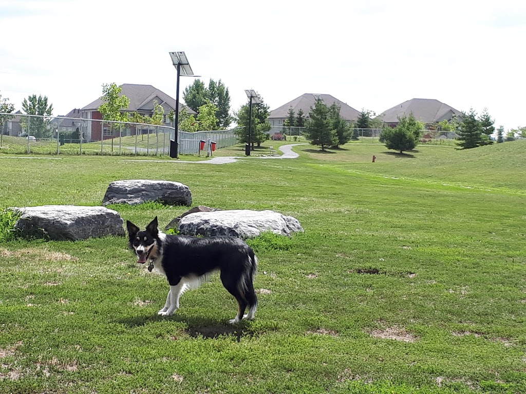 Brossard Dog Park | 4000 Boulevard Rome, Brossard, QC J4Y 3H8, Canada