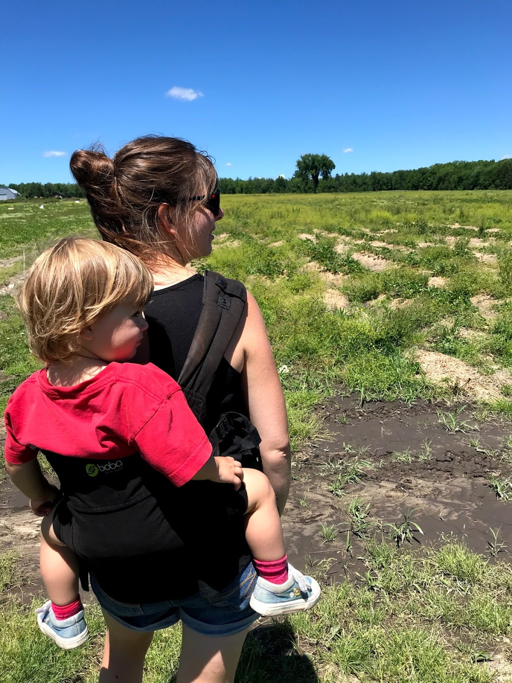 Ferme Au Pré Bleu | 409 Chemin Paul, Ascot Corner, QC J0B 1A0, Canada | Phone: (819) 832-3959