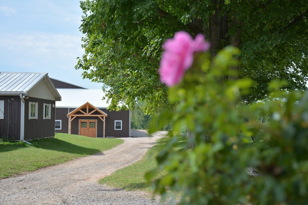 Cornerstone Equestrian Centre | 7827 Wellington 36, Moffat, ON L0P 1J0, Canada | Phone: (905) 270-9751