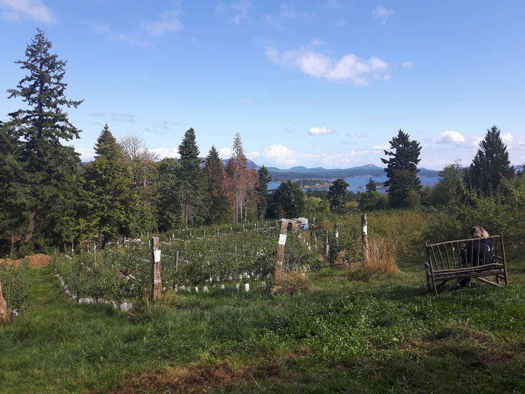 Salt Spring Apple Company | 529 Fulford-Ganges Rd, Salt Spring Island, BC V8K 2K1, Canada | Phone: (250) 538-2197