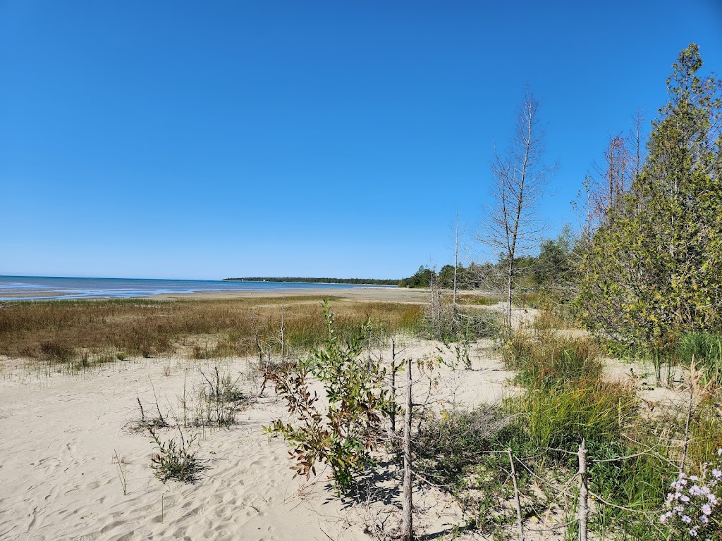 Singing Sands Beach | Singing Sands Interpretive Trail, Tobermory, ON N0H 2R0, Canada | Phone: (519) 596-2233