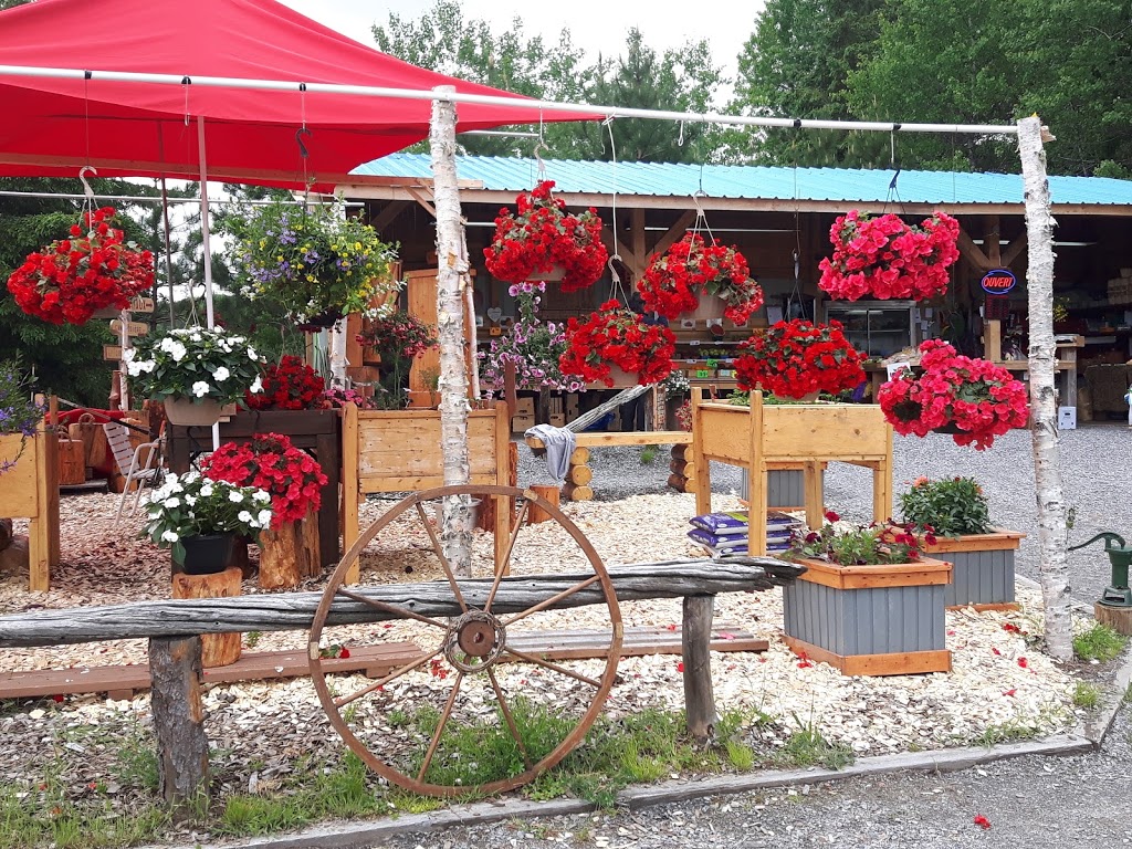 Kiosque fruits et légumes Rivière-Rouge | Adjacent au 4291 route 117 sud, Rivière-Rouge, QC J0T 1T0, Canada | Phone: (819) 430-3188