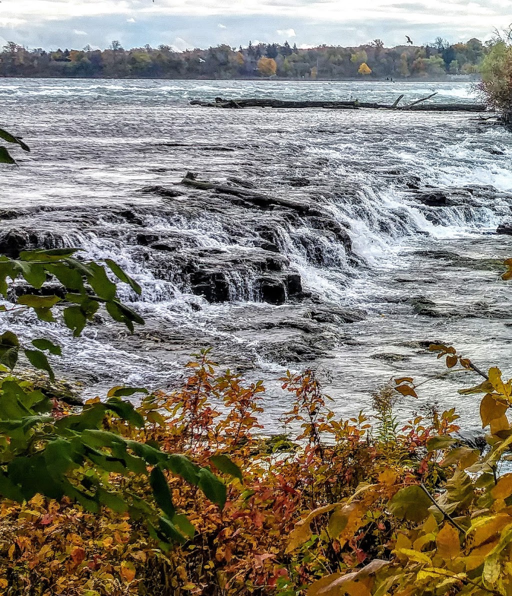 Three Sisters Islands | Three Sisters Island Footbridge, Niagara Falls, NY 14303, USA | Phone: (716) 278-1796