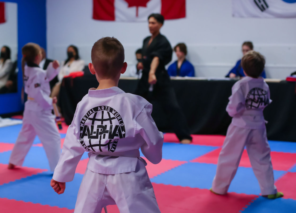 Alpha Martial Arts World | 110 Little Ave, Barrie, ON L4N 4K8, Canada | Phone: (416) 474-3840