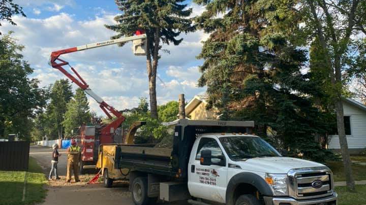 Razors Edge Tree Service | 6801 42a Ave, Camrose, AB T4V 3S4, Canada | Phone: (780) 679-7785